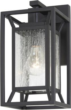 1-Light Outdoor Wall Sconce