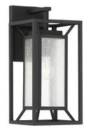 1-Light Outdoor Wall Sconce in Sand Coal