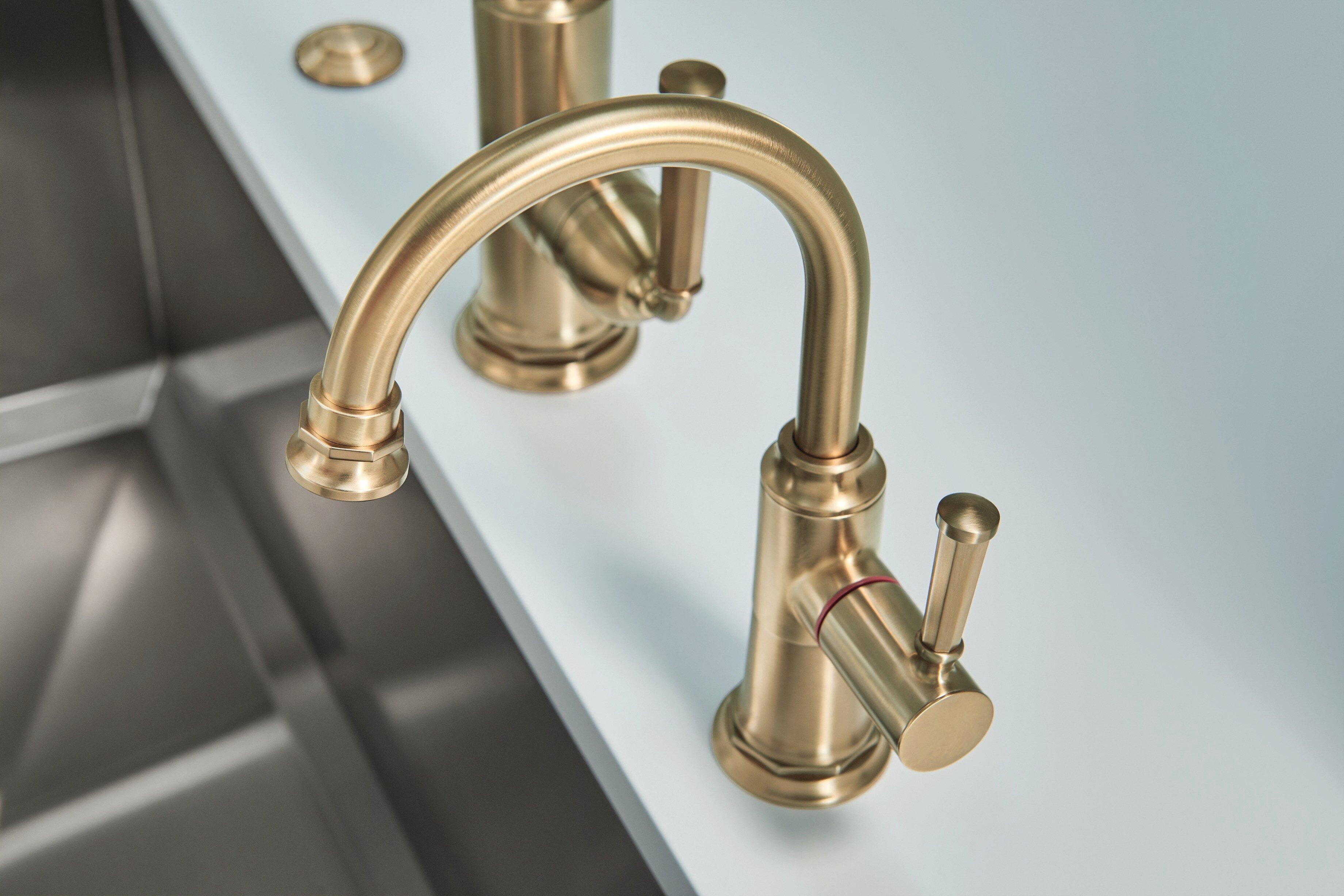 Brizo Luxe Gold 3-7/8 x 2-14/25 in. 15A Air Switch with Dual Outlet 