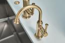 Brizo Luxe Gold 3-7/8 x 2-14/25 in. 15A Air Switch with Dual Outlet 