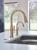 Brizo Luxe Gold 3-7/8 x 2-14/25 in. 15A Air Switch with Dual Outlet 