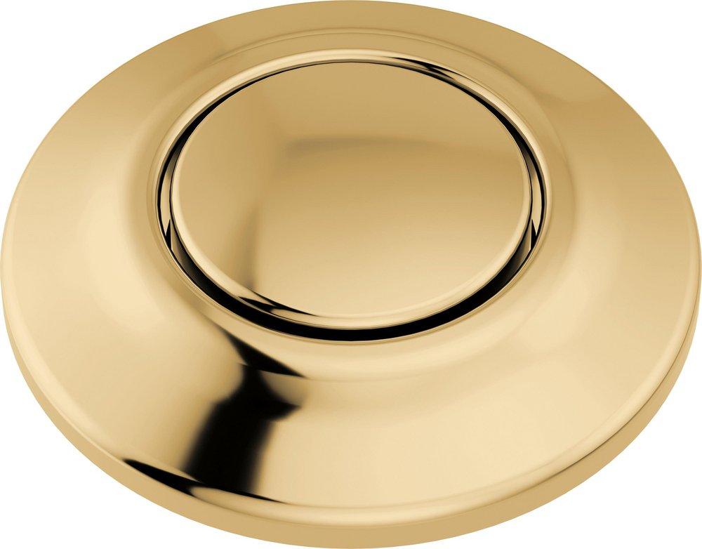 Brizo Polished Gold 3-7/8 x 2-14/25 in. 15A Air Switch with Dual Outlet 