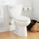 Elongated Two Piece Toilet in White
