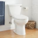 Elongated Two Piece Toilet in White