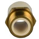 1/2 in. CTS CPVC x MPT Brass Adapter 