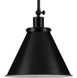 100W 1-Light Medium E-26 Incandescent Pendant Light in Matte Black