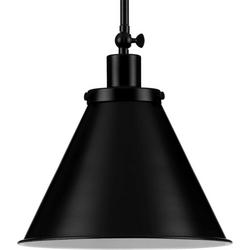 100W 1-Light Medium E-26 Incandescent Pendant Light in Matte Black