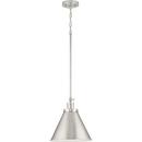 *CVR* 1-LIGHT BRUSHED NICKEL INDUST 