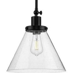 100W 1-Light Medium E-26 Incandescent Pendant Light in Matte Black