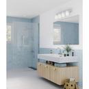 *CVR* 4-LIGHT BRUSHED NICKEL TRANSI 