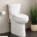 Signature Hardware White 1.28 gpf Elongated Toilet Bowl 