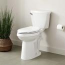 Signature Hardware White 1.28 gpf Elongated Floor Mount Toilet Bowl 