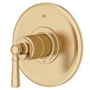 *CVR* PB VLV LEV HDL SB 