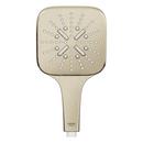 GROHE Brushed Nickel Multi Function Hand Shower 