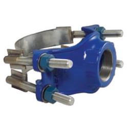 1-1/4 x 2 in. NPT Stainless Steel Double Strap Saddle