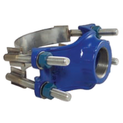 1-1/4 x 2 in. NPT Stainless Steel Double Strap Saddle