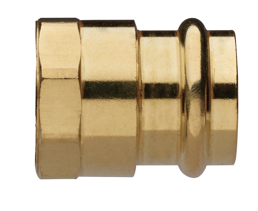 FNW&reg; 1-1/4 in. Brass Adapter 