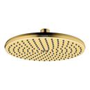 Single Function Showerhead in Brushed Gold Optic