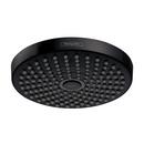 Dual Function Showerhead in Matte Black