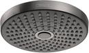 Dual Function Showerhead in Brushed Black Chrome