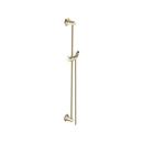 24-1/2 in. Shower Rail with Hose in Brushed Nickel