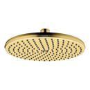 Hansgrohe Brushed Gold Optic Single Function Showerhead 