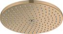 Single Function Showerhead in Brushed Bronze