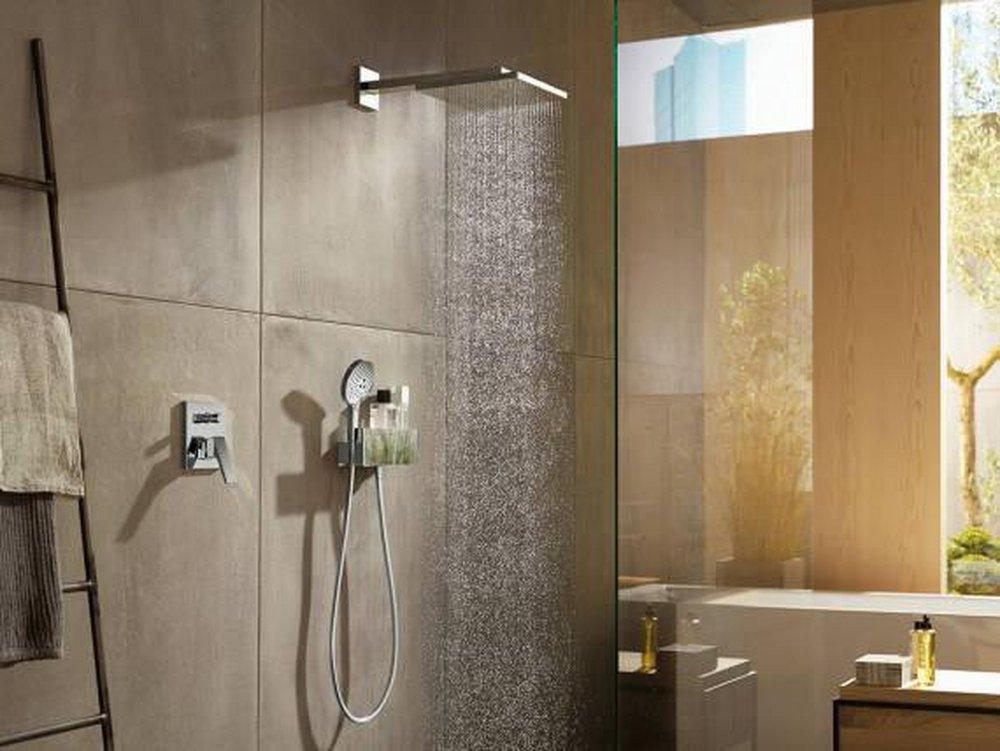 Hansgrohe Chrome Single Function Showerhead 