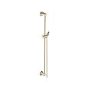 24-1/2 in. Shower Rail with Hose in Polished Nickel