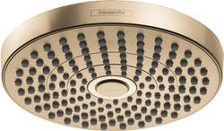 Dual Function Showerhead in Brushed Bronze