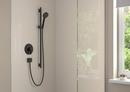 Hansgrohe Matte Black Multi Function Hand Shower 