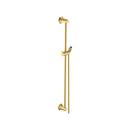 24-1/2 in. Shower Rail with Hose in Brushed Gold Optic