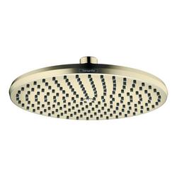Single Function Showerhead in Polished Nickel