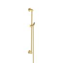 36 in. Shower Rail with Hose in Brushed Gold Optic