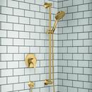 Hansgrohe Brushed Gold Optic 38-5/8 in. Shower Rail 