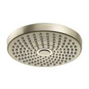 Dual Function Showerhead in Polished Nickel
