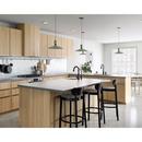 Moen Matte Black Cold Only Water Dispenser 