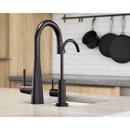 Moen Matte Black Cold Only Water Dispenser 