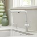 BLANCO White Single Handle Pull Out Kitchen Faucet 