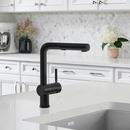 BLANCO Anthracite Single Handle Pull Out Kitchen Faucet 