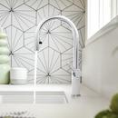 BLANCO Chrome/White Single Handle Pull Down Kitchen Faucet 