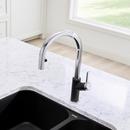 BLANCO Chrome Single Handle Pull Down Kitchen Faucet 