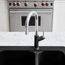 BLANCO Chrome Single Handle Pull Down Kitchen Faucet 