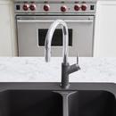 BLANCO Chrome/Cinder Single Handle Pull Down Kitchen Faucet 