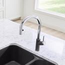 BLANCO Chrome/Cinder Single Handle Pull Down Kitchen Faucet 