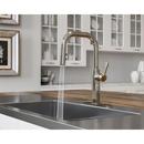 Pfister Polished Nickel Single Handle Pull Down Kitchen Faucet 