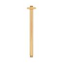 12 in. Ceiling Mount Shower Arm with Flange in Brushed Gold