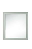 40 x 44 in. Rectangular Mirror in Sage Green