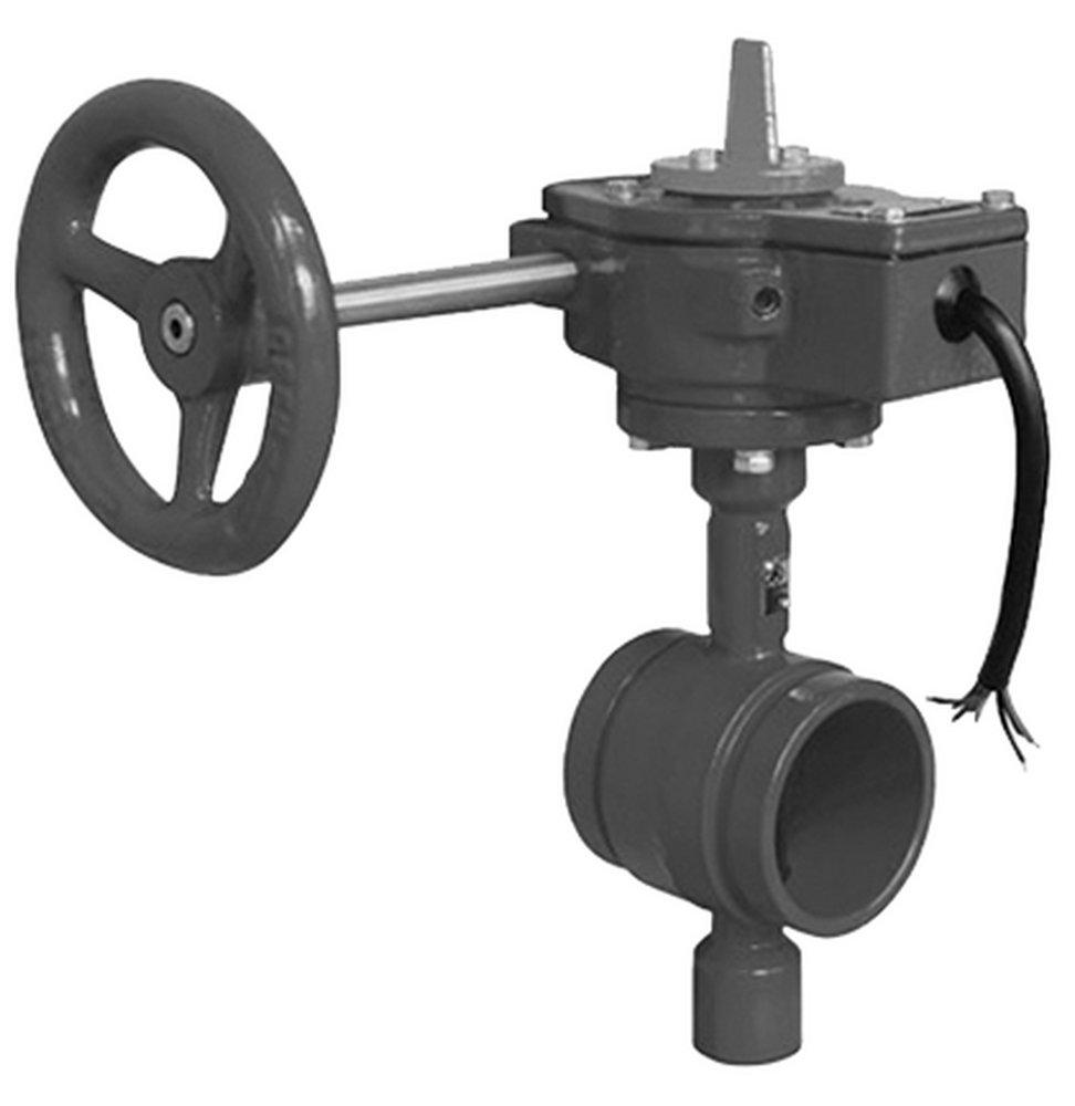 4 in. Epoxy Grooved End Butterfly Valve BFV-1 with Gear Operator Handle 