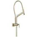 Shower Rail with Hose in Polished Nickel